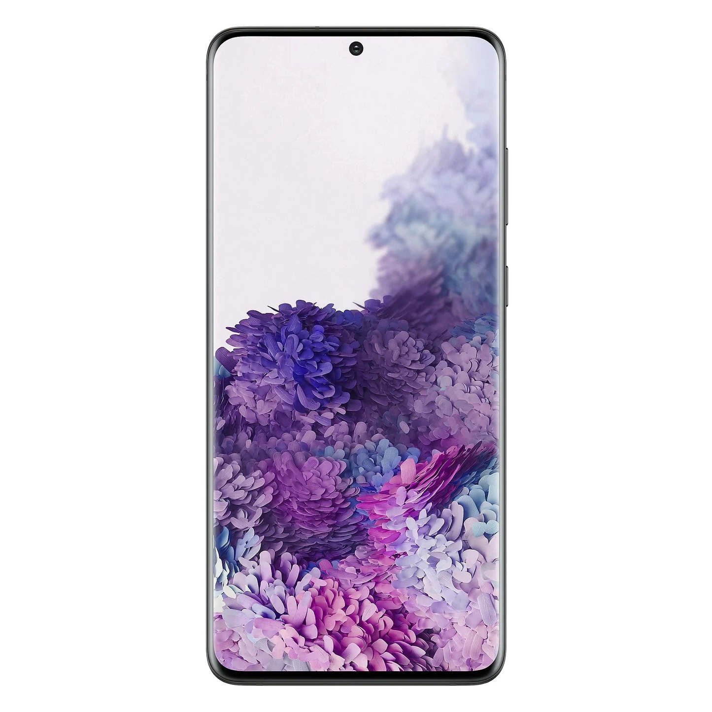 Samsung Galaxy S20+ (Plus) Akkureparatur
